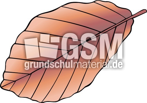 Buche Blatt herbst.tif